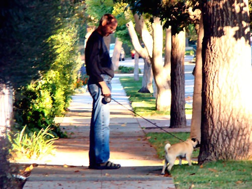 Walking the family dog on the streets of Palo Alto, 2006
